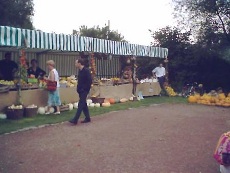 le stand des potirons